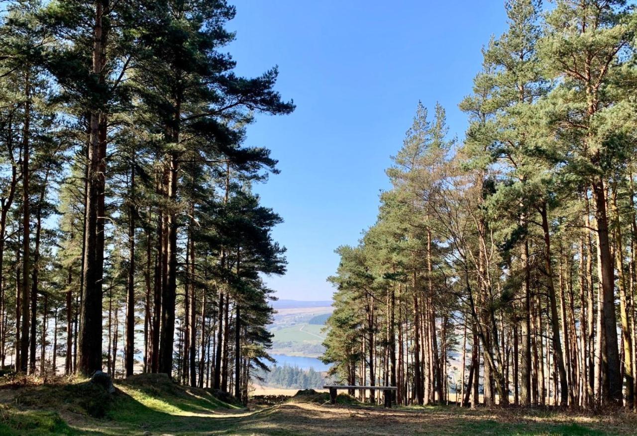 马沙姆Swinton Bivouac别墅 外观 照片